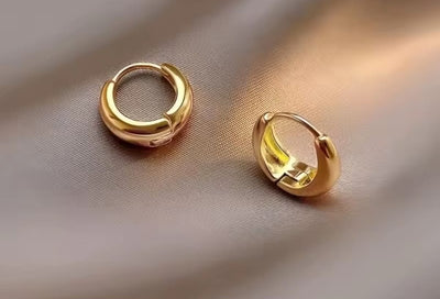 Luxury Women`s Earrings