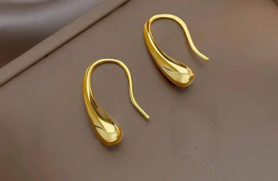 Luxury Women`s Earrings