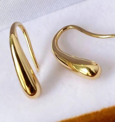 Luxury Women`s Earrings