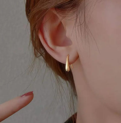 Luxury Women`s Earrings