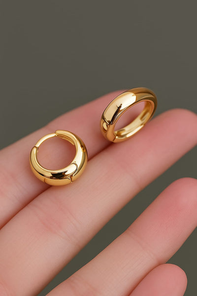 Luxury Women`s Earrings