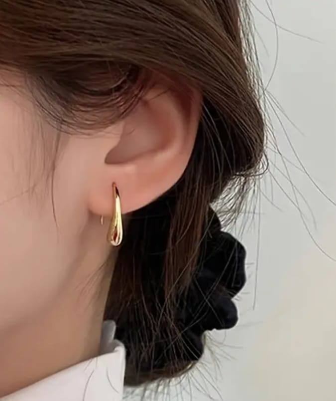 Luxury Women`s Earrings