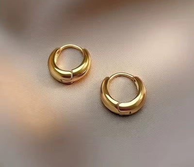 Luxury Women`s Earrings